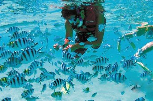 人间水蜜桃阿曼达写真大赏？优雅激情交织，你能否抵住这诱惑之力