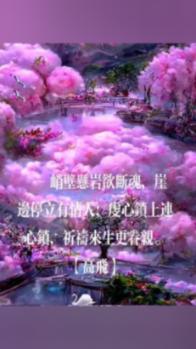 为加快“三区”建设注入强劲改革动能
